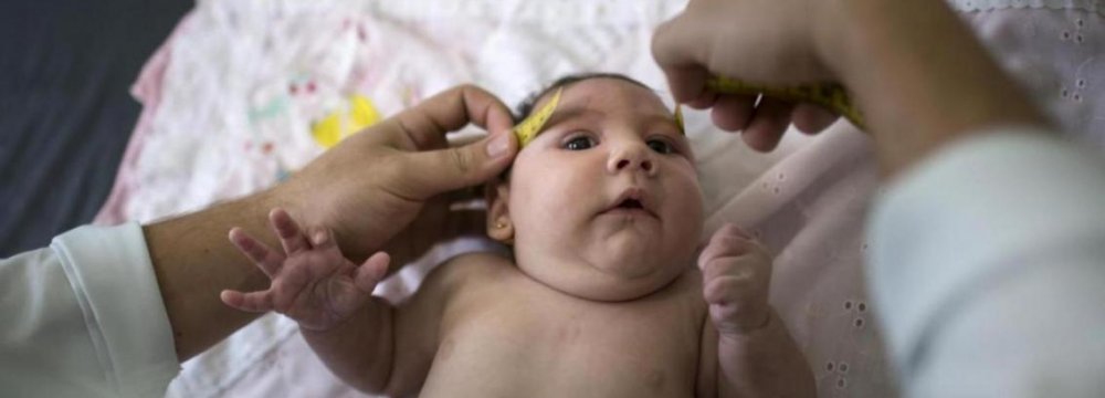 Zika Link to Birth Defects Highly Likely