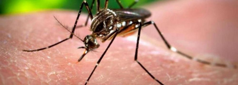First Zika Case in Russia
