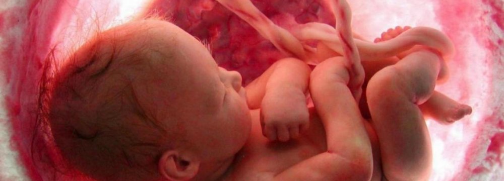 First ‘In Womb’ Stem Cell Trial in January