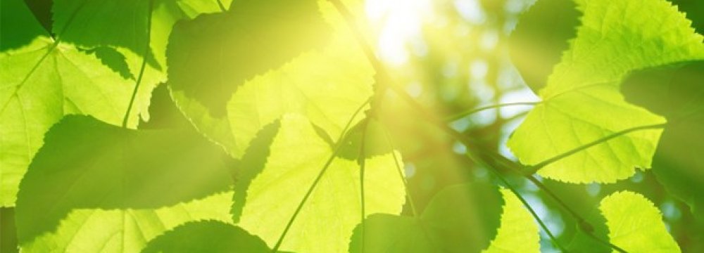 Artificial Photosynthesis Could Solve CO2 Emission Problem