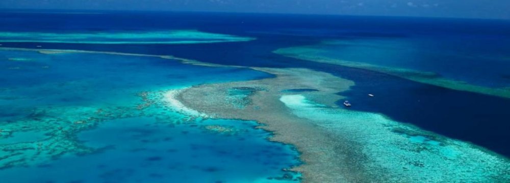 Great Barrier Reef Kept Off Endangered List