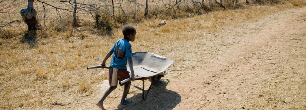 Drought Disaster in Zimbabwe