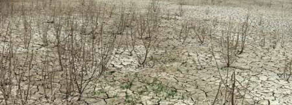 NDMO Urges DOE to Save Jazmourian Wetland 