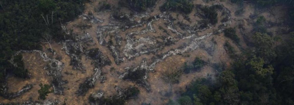 Deforestation Worsens in Amazon Rainforest
