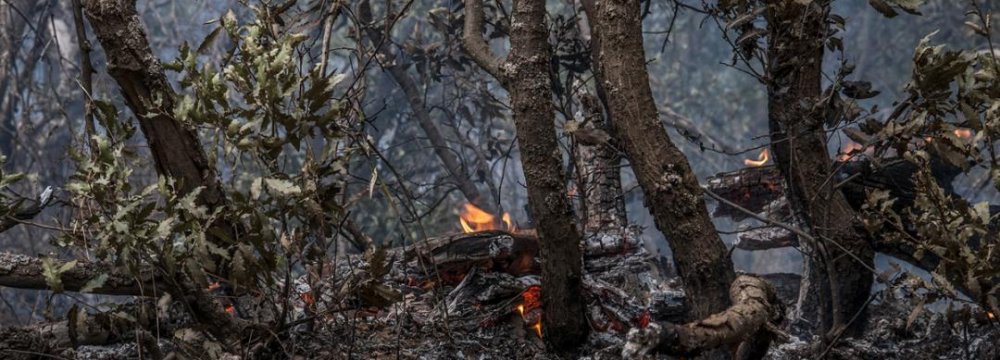 Gilan Forests Burn