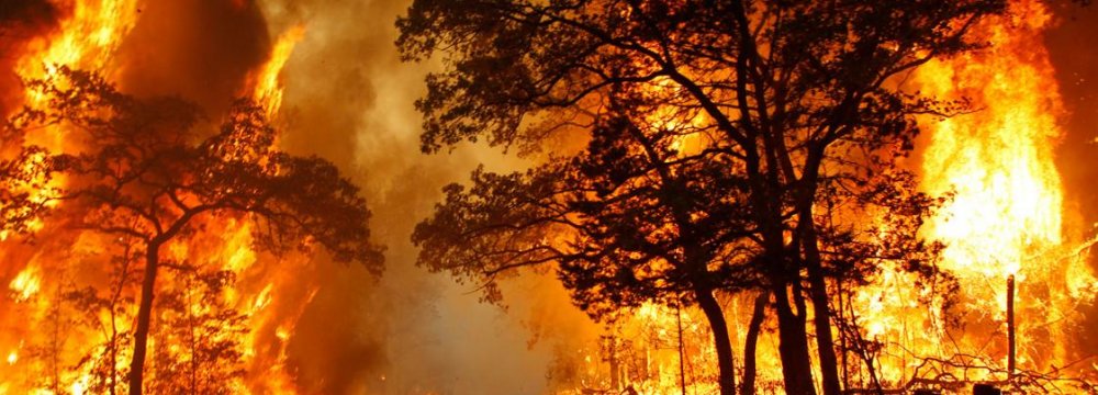 $6.1m Allocated for Combating Wildfires