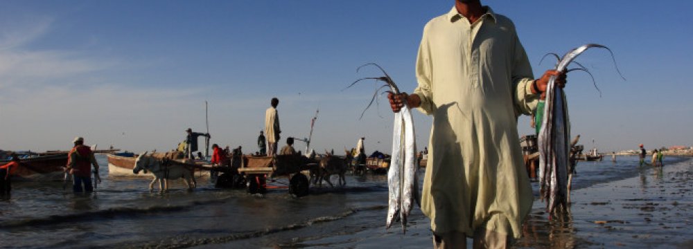 Empowering Locals to Protect Gwadar Bay Ecosystem