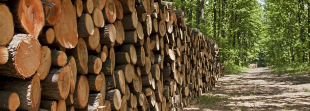 Logging in Caspian Hyrcanian Forests Declines