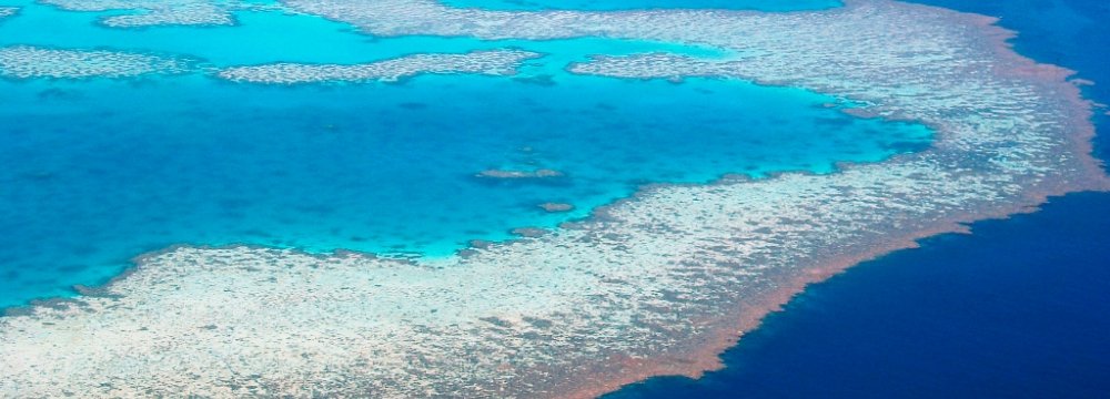 Australia Failing to Save Great Barrier Reef