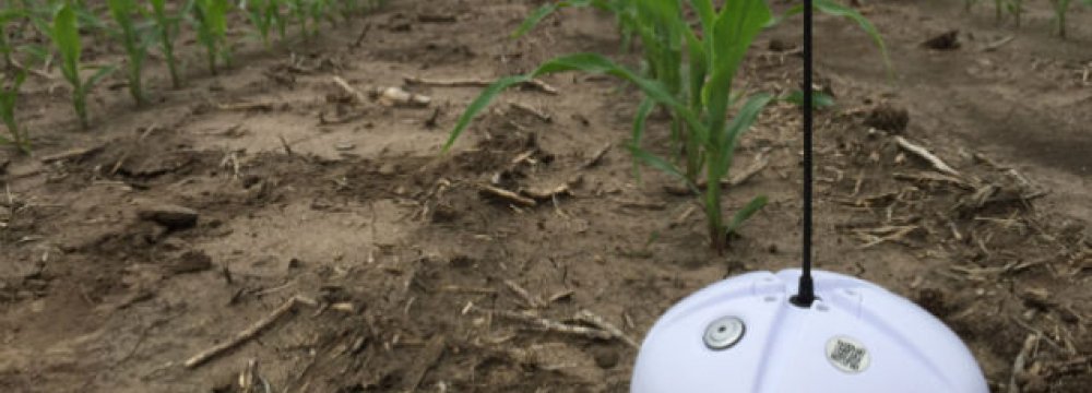 Sensors Cut Farm Water Use By a Quarter