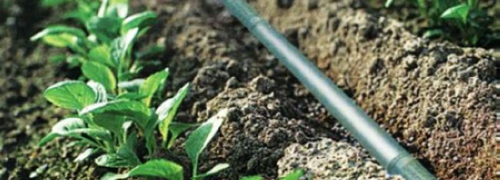 Efficient Drip Irrigation System Developed