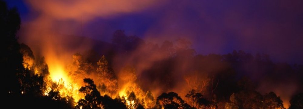 Wildfire Emergency Declared in Washington State