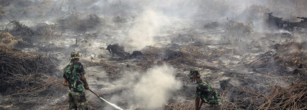 Indonesia Wildfires Cost More Than Tsunamis