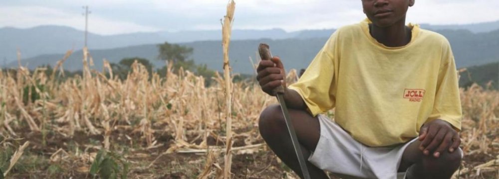 Ethiopia Faces Food Shortage