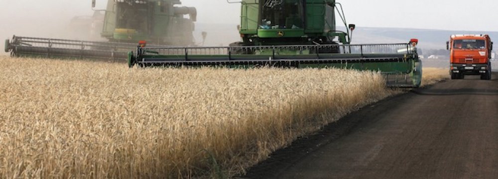 Russian Wheat Prices Slide