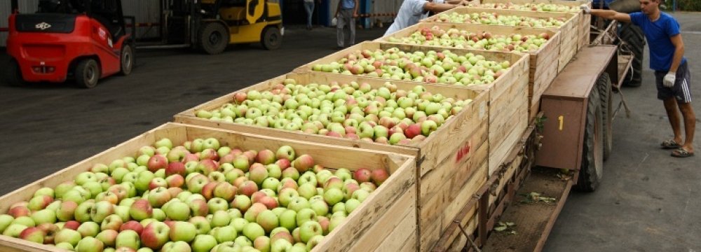 Moldovans Can Supply Fruit to Russia