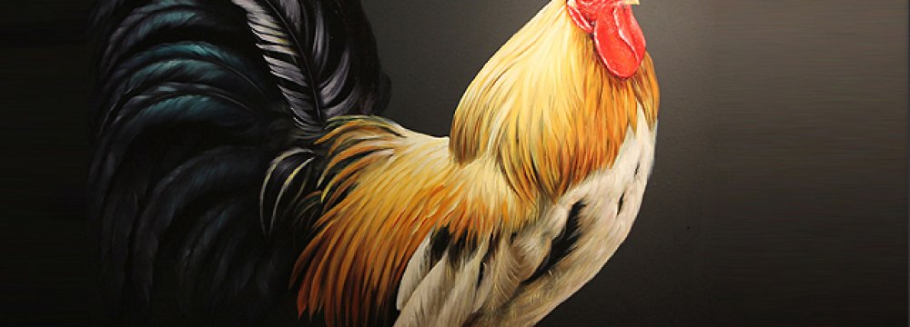 ‘Rooster’ on Canvas