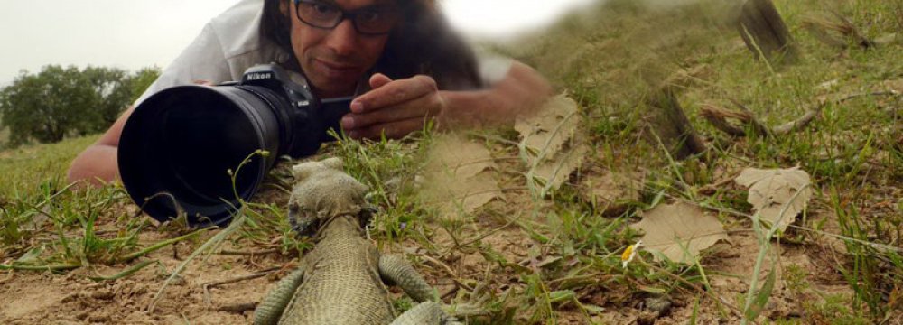 Documentary on Monitor Lizards