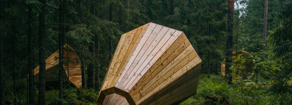 Wooden Megaphones Amplify Forest Ambiance