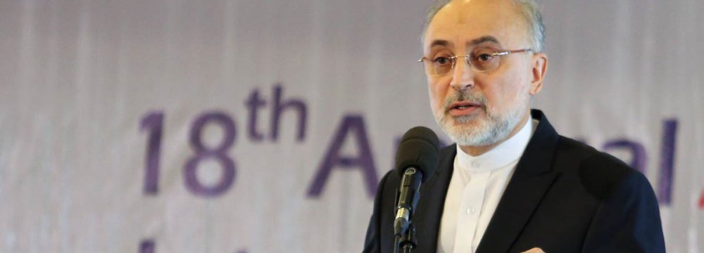 Nuclear Chief Upbeat on  Tehran-IAEA Cooperation