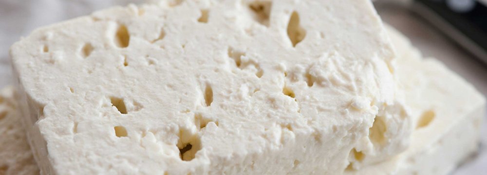 Cheese Exported to  21 Countries