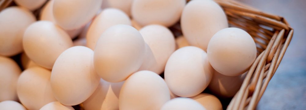 Need for Egg Imports to Continue for  6 Months