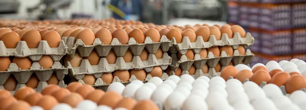 Iran’s per capita egg consumption stands at 198.