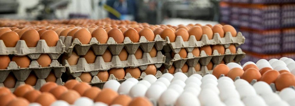 Each Iranian consumed 198 eggs on average in the last fiscal year to March 2017.