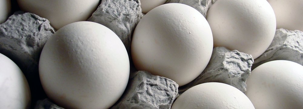 Iran’s Egg Exports Hit Rough Patch