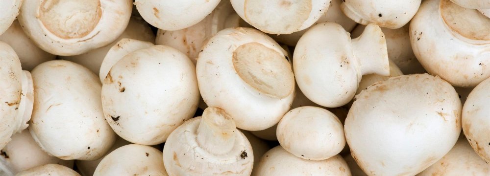 Decline in Mushroom Consumption