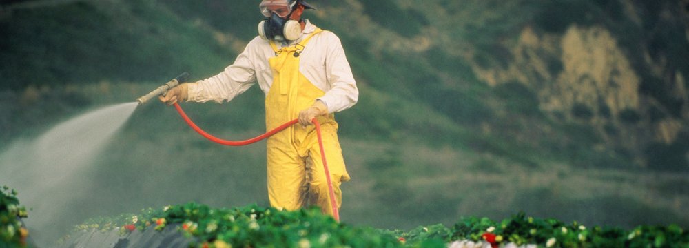 Pesticide Production Meets 80% of Domestic Demand