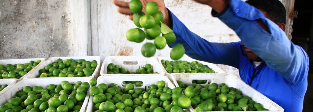 Ban on Export of Lime and Lemon; Imports on Agenda 