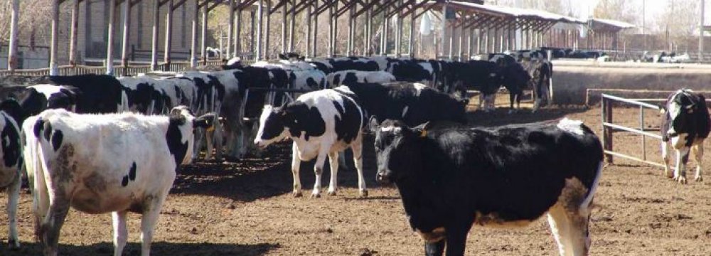 Livestock Farms PPI at 36%
