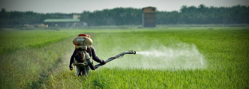 Genetic Engineering Can Help Curb Pesticide Use