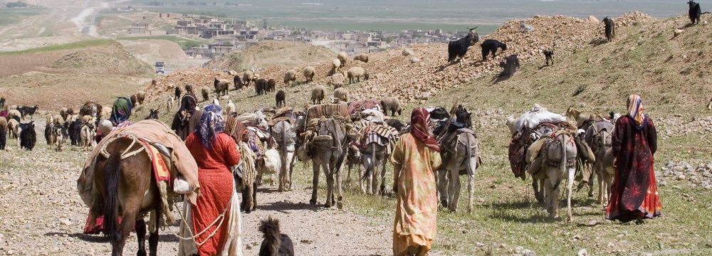 Nomads in Iran annually produce 190,000 tons of red meat, accounting for 25% of the domestic red meat production.