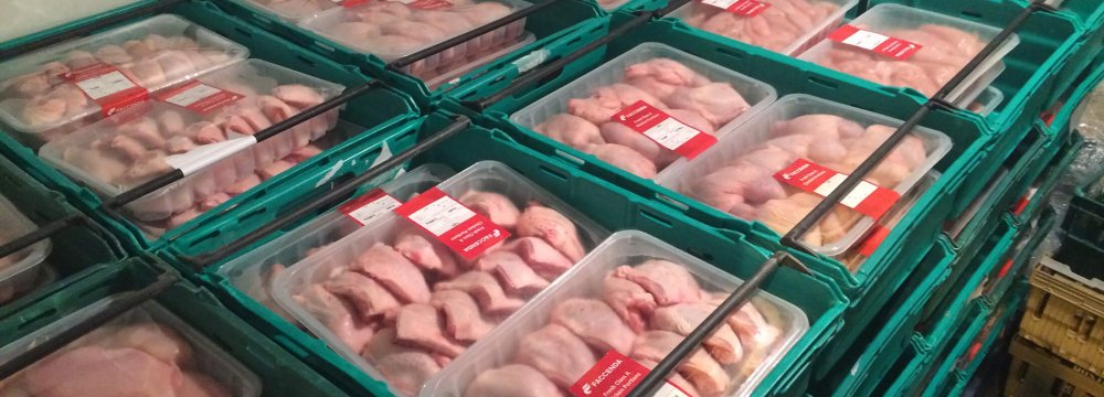 34% Rise in Poultry Meat Output 