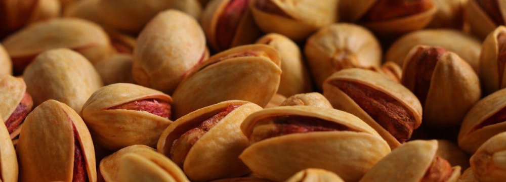 Pistachio Exports to Spain Accelerated by 58% in 2022