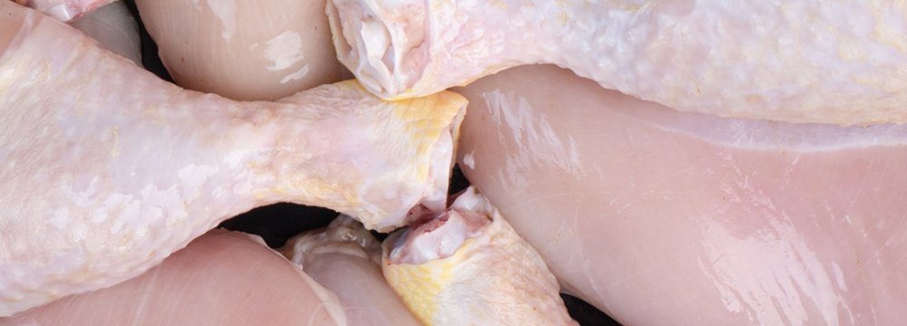 Russian Poultry Imports May Worsen Domestic Oversupply