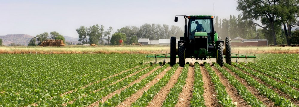 Agro Exports Rise 13% YOY to $3.1 Billion