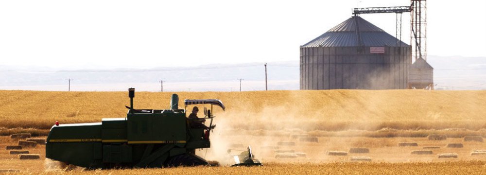 Iran Reports 32% Surge in Early Wheat Harvest