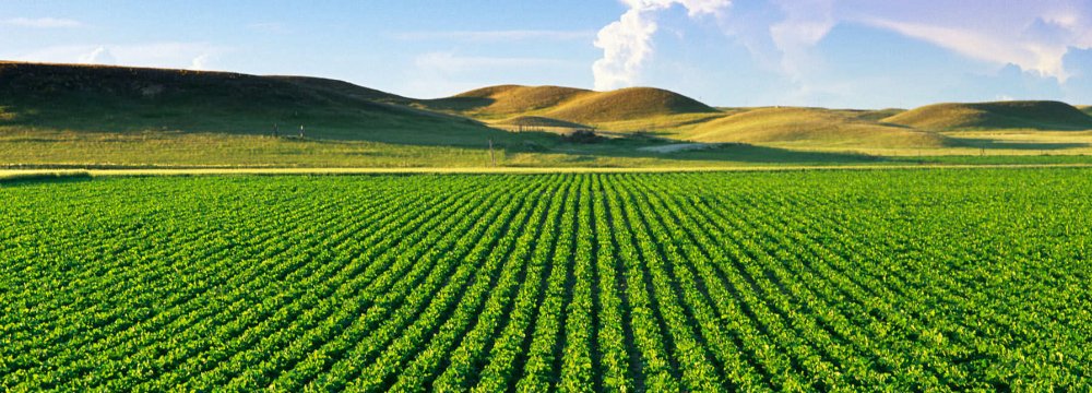 Agro outsourcing indicates the practice of purchasing, renting or leasing by one country of arable land for the cultivation of agricultural products in another country.