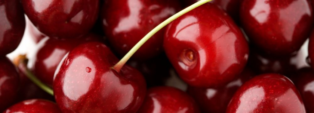 Iran Cherry Output at 300K Tons p.a.