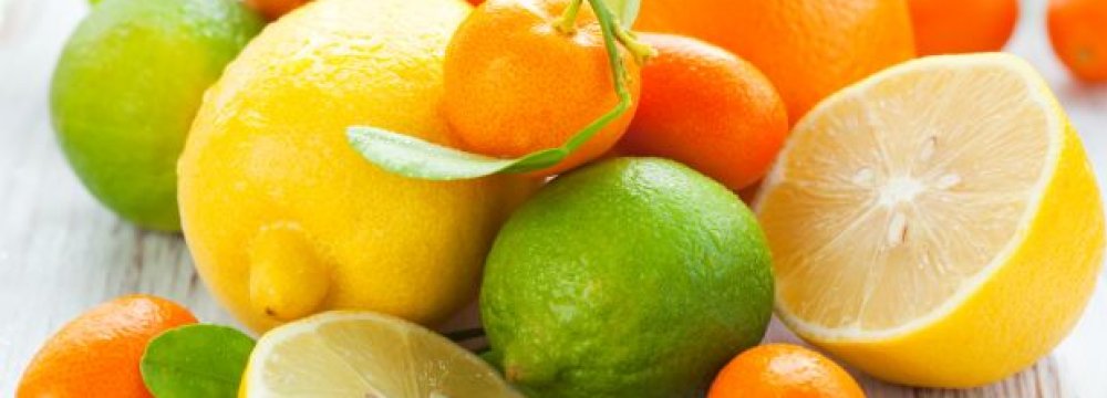 Citrus Fruit Output to Rise by 7%