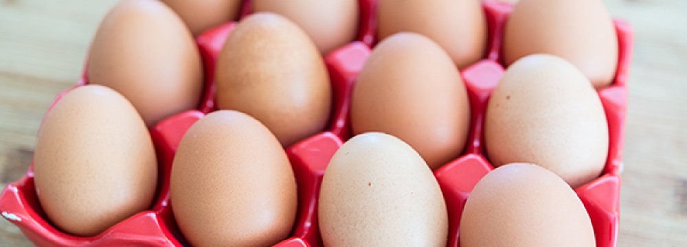 Egg Exports Slowly Resume as Bird Flu Contained