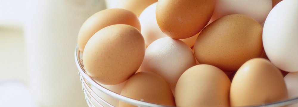 Egg Exports Hit by Bird Flu