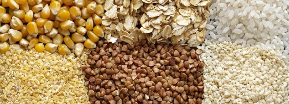 FAO: Iran to Produce 20m Tons of Cereals in 2017