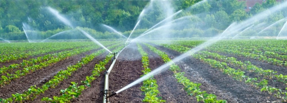Modernization of Irrigation Systems in  Full Swing