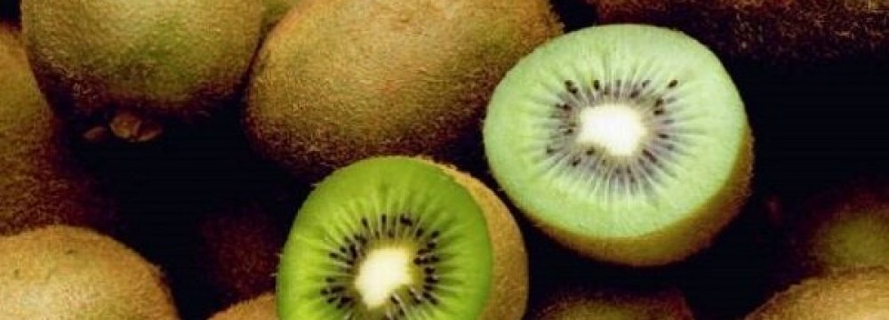 Kiwi Exports Resume