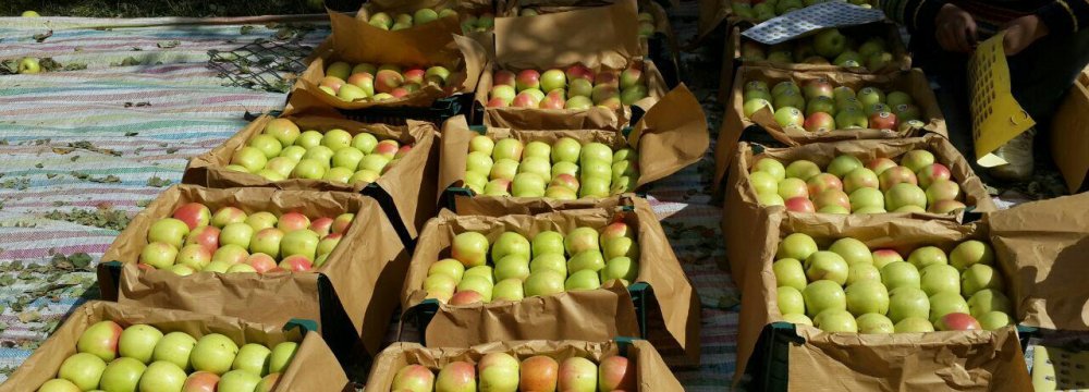 Banana, Mango, Pineapple Imports Conditioned on Apple Exports