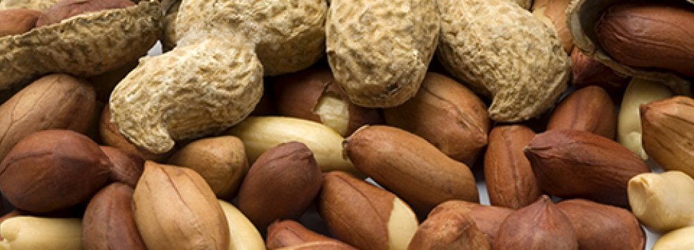 Peanut Imports